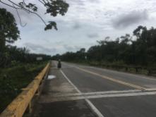 plantation roadside